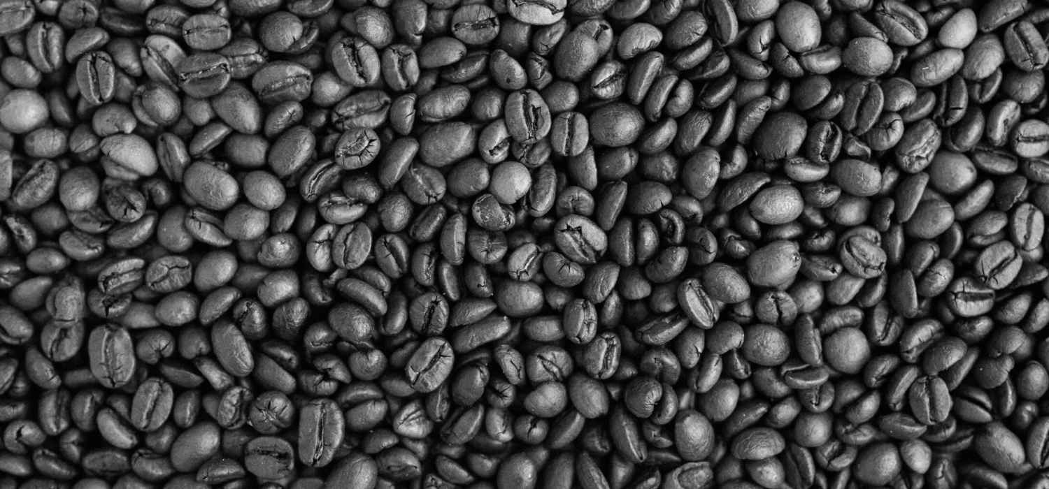 Coffee - Agro Blog